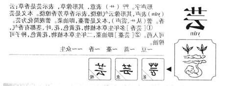 芸 意思